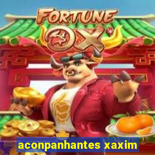 aconpanhantes xaxim